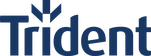 Trident Building Consultancy